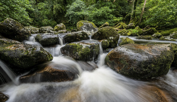  - New Landscapes