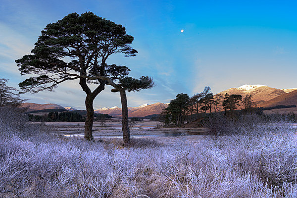  - New Landscapes
