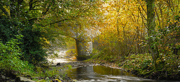  - New Landscapes