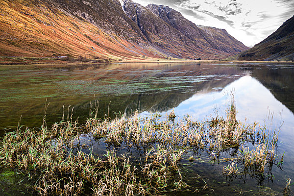  - New Landscapes