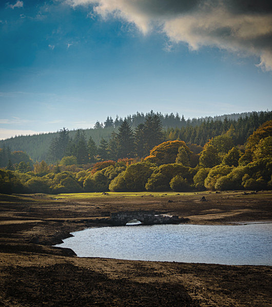 Fernworthy Reservoir - New Landscapes