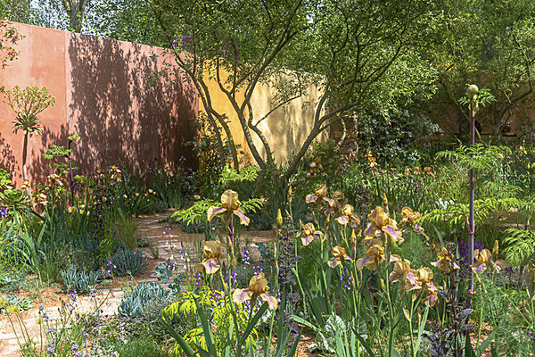 RHS Chelsea Flower Show 2023 - Chelsea Flower Show 2023