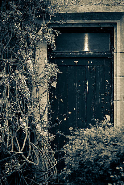 Wisteria Door - Gardens