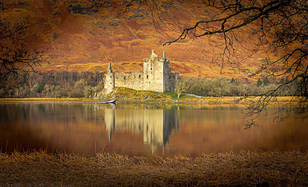 - New Landscapes