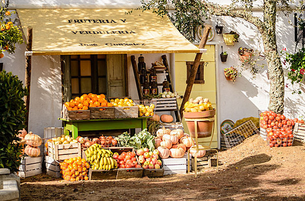 An Andalusian Moment - Gardens