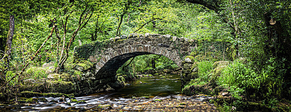 Hisley Wood Packhorse Bridge - New Landscapes
