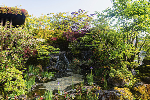 RHS Chelsea Flower Show 2023 - Chelsea Flower Show 2023