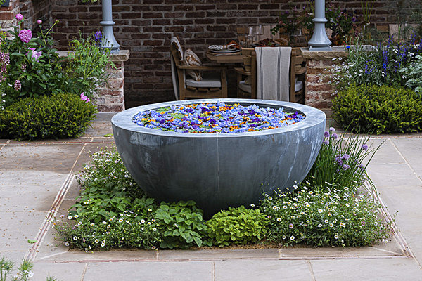 RHS Chelsea Flower Show 2023 - Chelsea Flower Show 2023
