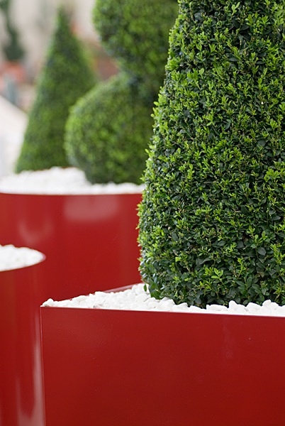 Box Topiary - Gardens