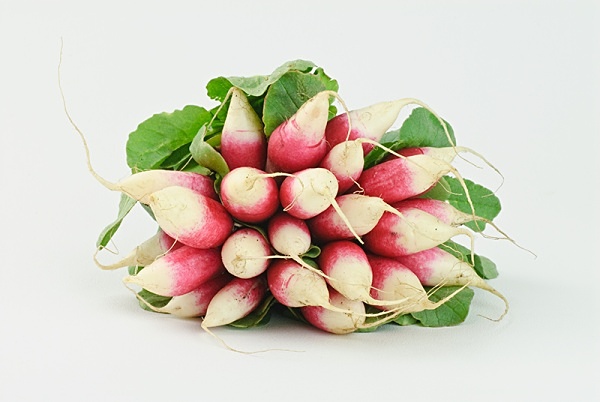 Radishes - Food