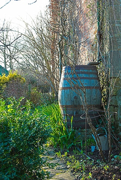 Water Butt - Gardens