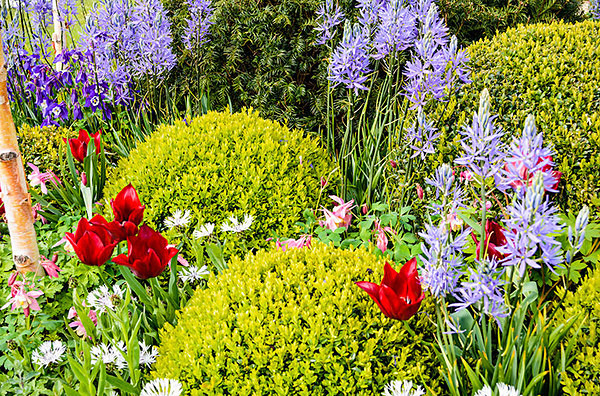 A Gift of Life - Gardens