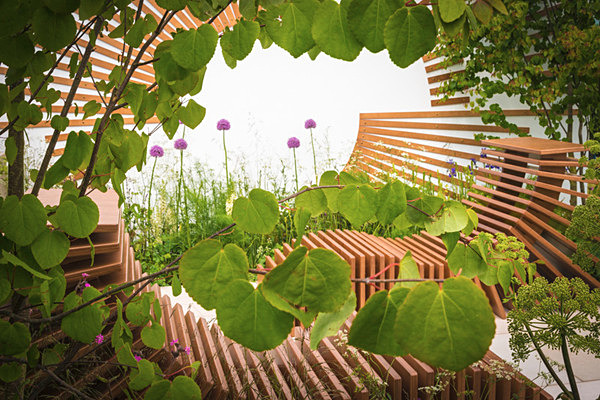Molecular Garden - Gardens