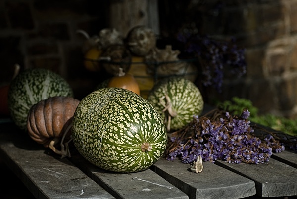 Squash - Miscellaneous