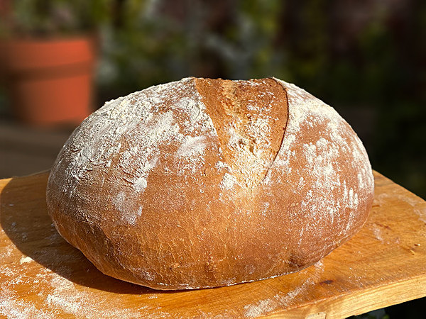 Home Baked Bread Loaf - Food