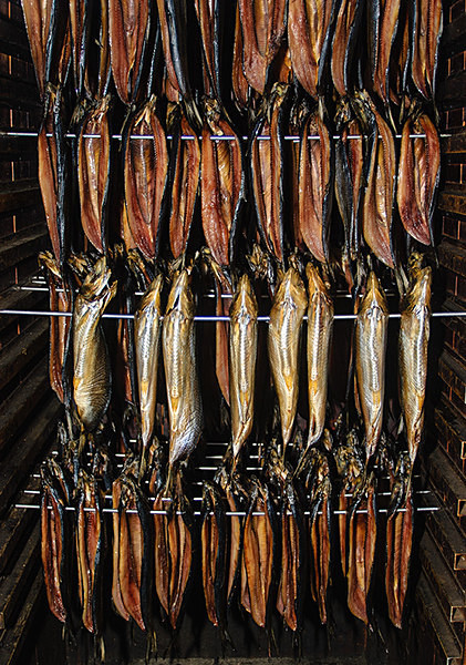Kippers in the smoke box - Food