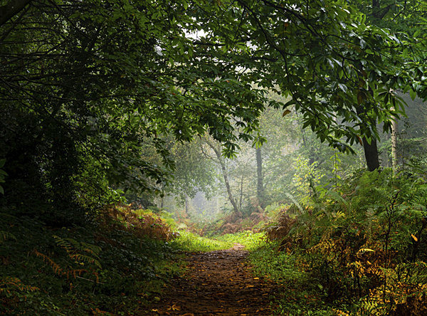  - New Landscapes