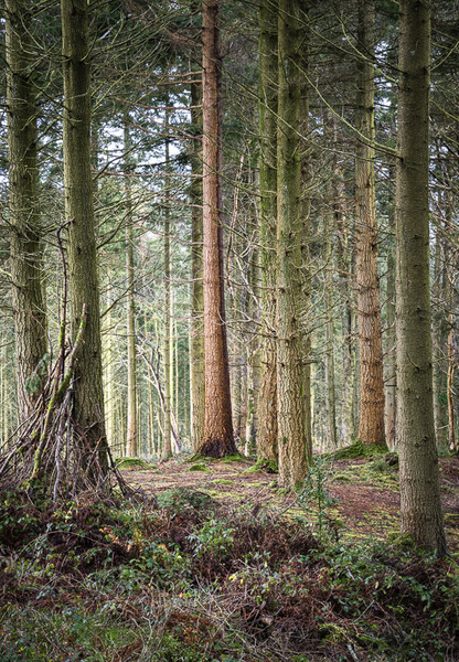  - New Landscapes