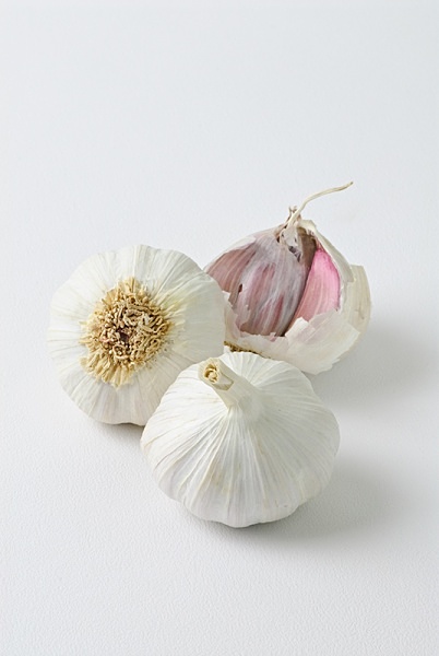 Garlic - Food