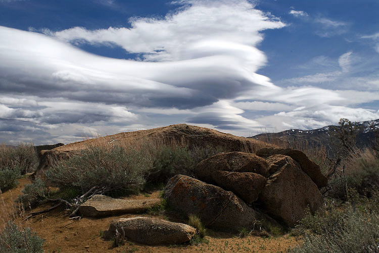 Photos for the Week of 4/18/2011 - Photo of the Week