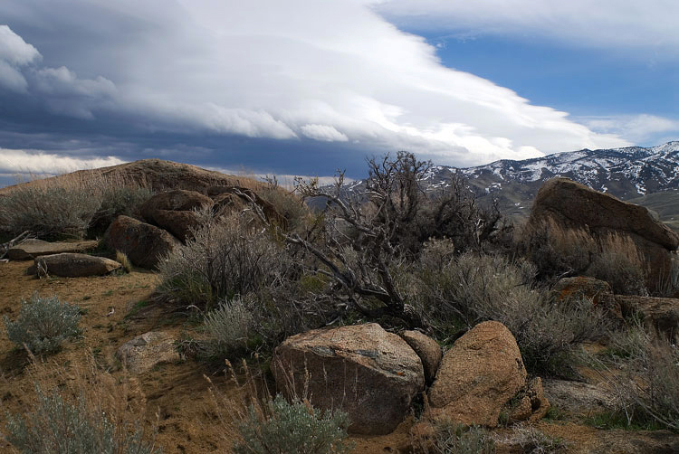 Phot for the Week of 4/4/2011 - Photo of the Week