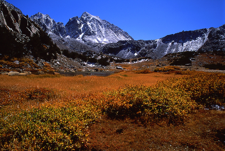 Photo of the Week 8/8/2011 - Photo of the Week