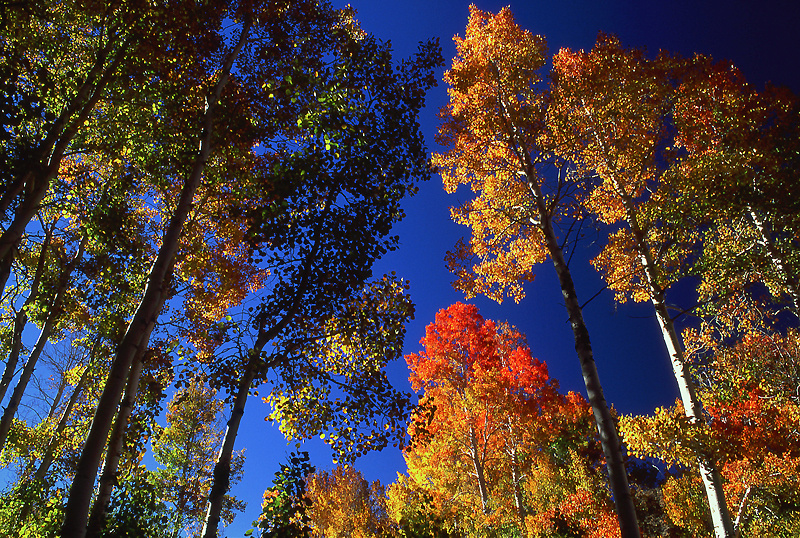  - Fall Colors: The Eastern Side