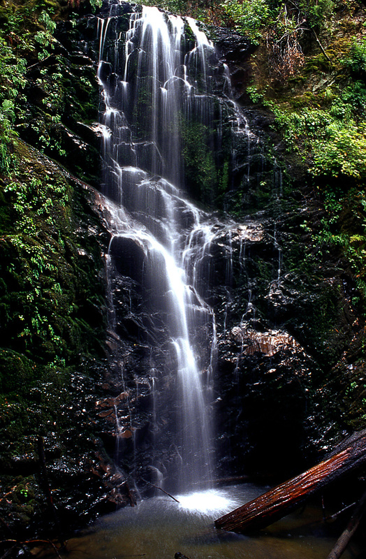 Berry Creek Falls, Big Basin State Park, Ca - California Coastline