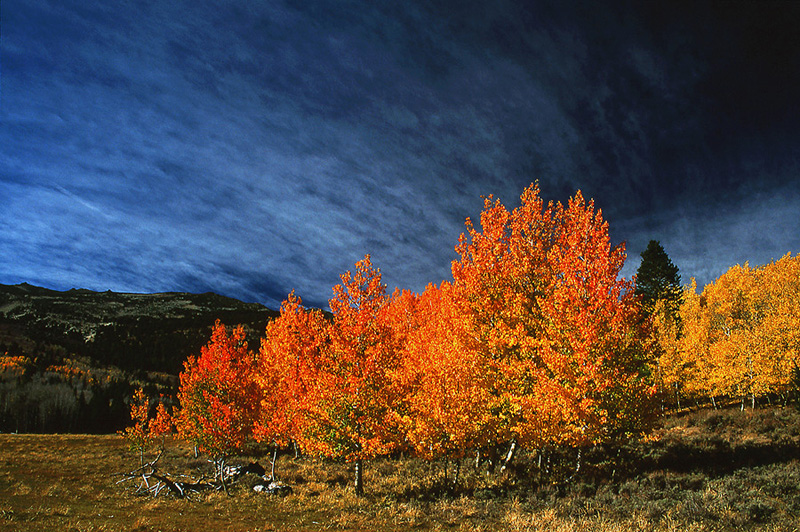  - Fall Colors: The Eastern Side