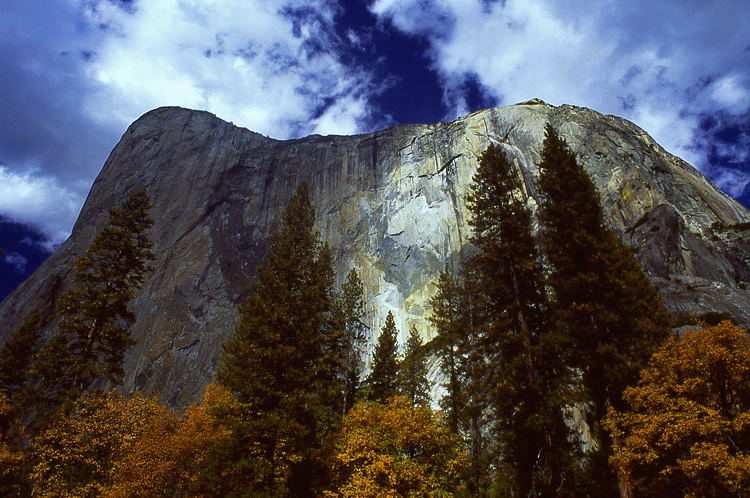 Photos for the Week of 1/24/2011 - Photo of the Week