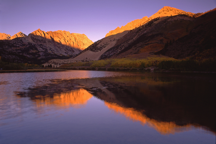 Photo of the Week 8/1/2011 - Photo of the Week