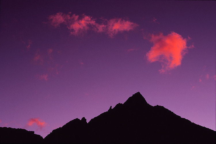 Photo of the Week 8/8/2011 - Photo of the Week