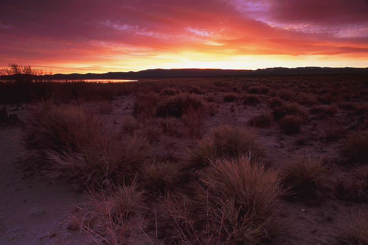 Photos for the Week of 12/13/2010 - Photo of the Week
