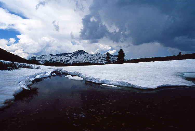 Photo of the Week 11/7/2011 - Photo of the Week