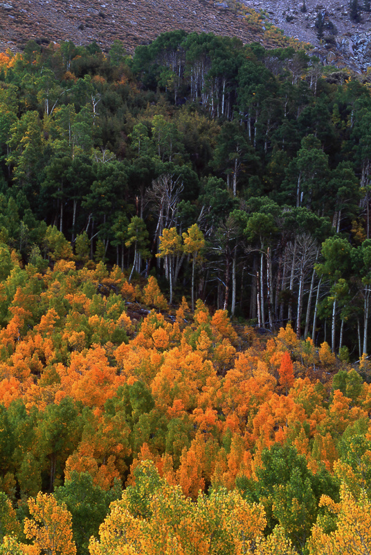  - Fall Colors: The Eastern Side