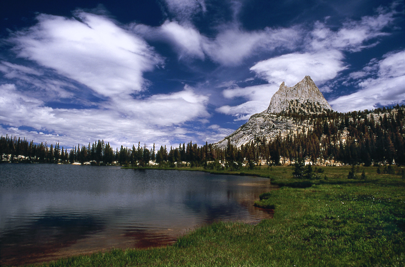 Week of 6/14/2010 - Photo of the Week
