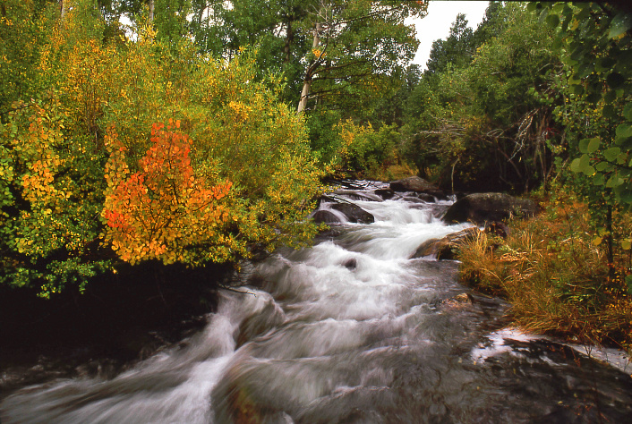 Photo of the Week 9/26/2011 - Photo of the Week