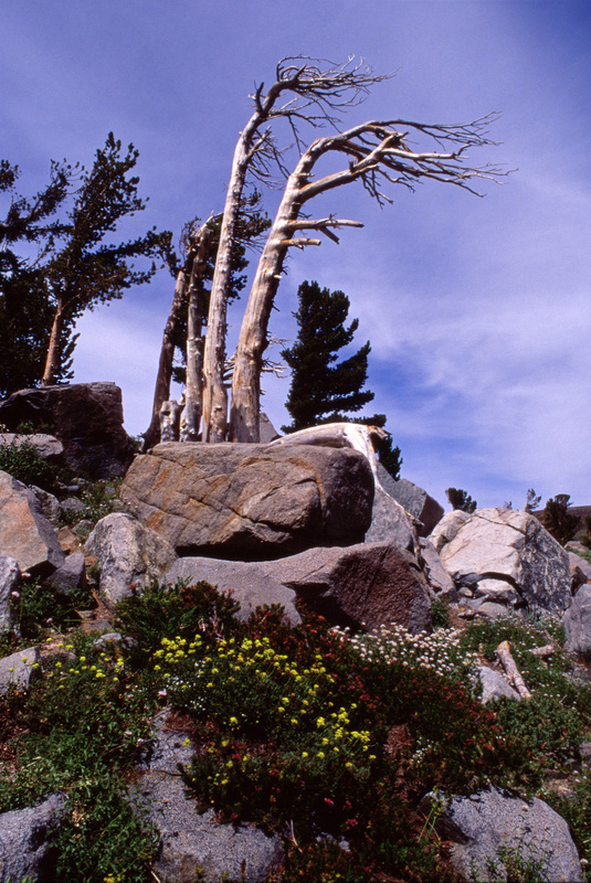 Photo of the Week 5/07/2012 - Photo of the Week