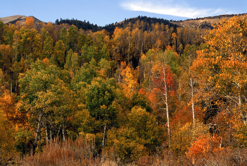  - Fall Colors: The Eastern Side