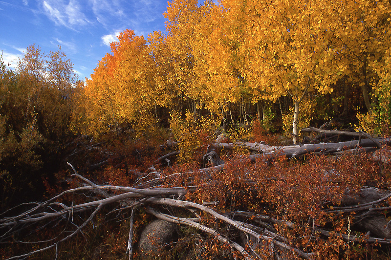  - Fall Colors: The Eastern Side