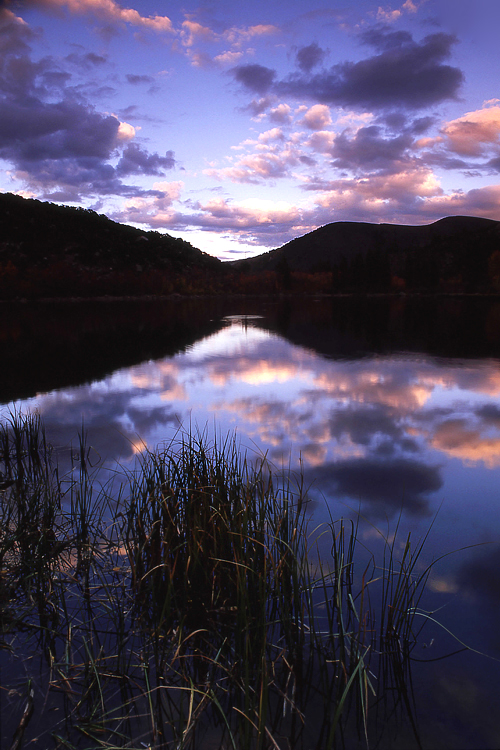 Photo of the Week 7/18/2011 - Photo of the Week