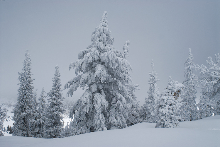 Photo of the Week 12/19/2011 - Photo of the Week