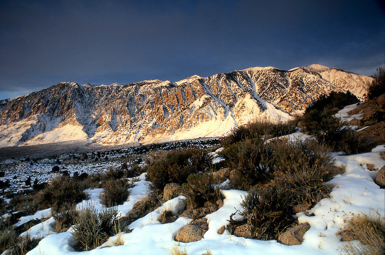Photo of the Week 11/15/2010 - Photo of the Week