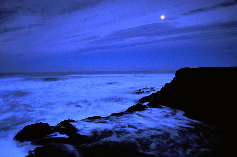 Ft. Bragg Headlands, CA - California Coastline