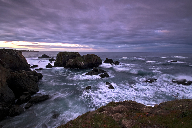 Photo of the Week 12/12/2011 - Photo of the Week