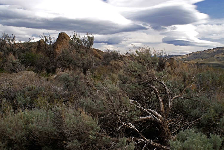 Lenticular Clouds over Reno - Photo of the Week