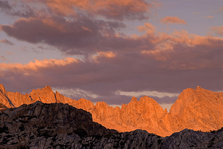 Photo of the Week 6/18/2012 - Photo of the Week