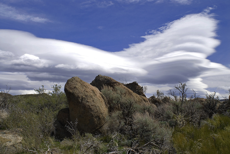 Photo of the Week 6/25/2012 - Photo of the Week
