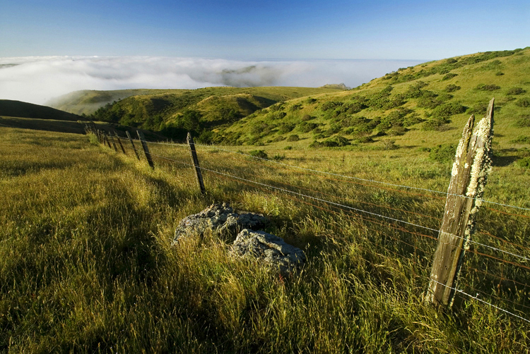 Photo of the Week 6/18/2012 - Photo of the Week