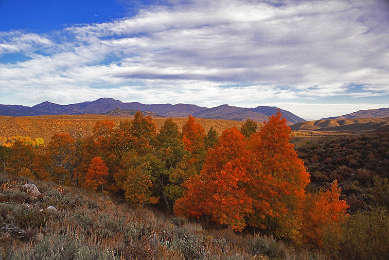 Photo of the Week 9/26/2011 - Photo of the Week